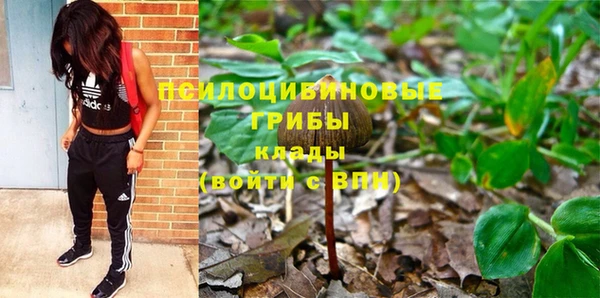 spice Домодедово
