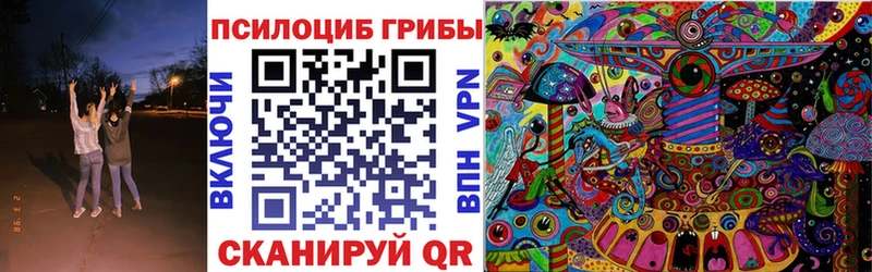 где купить   Алзамай  Галлюциногенные грибы мицелий 